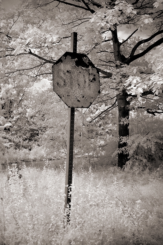 Decaying Stop Sign Wingdale, NY  Dave Hickey